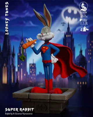 Super Rabbit 🐰🦸‍♂️