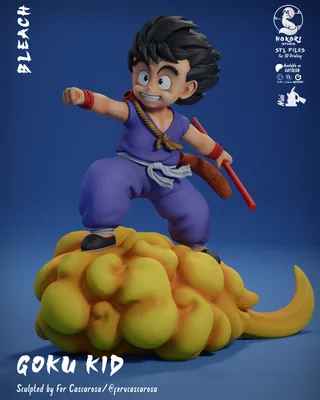 KID GOKU ON KINTO’UN