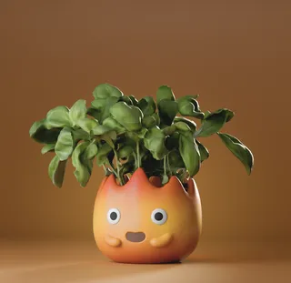 Calcifer magnetic container