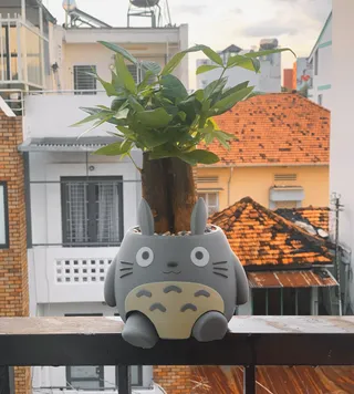Cute Totoro Planter / Organizer